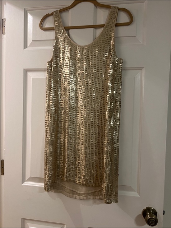 Haute Hippie Dresses & Skirts - Haute Hippie Gold Sequin Mini Dress